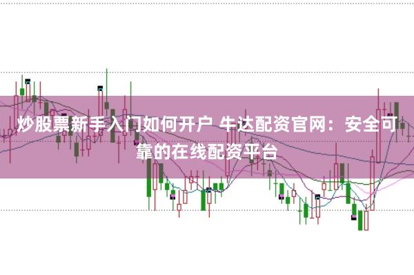 炒股票新手入门如何开户 牛达配资官网：安全可靠的在线配资平台
