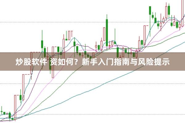 炒股软件 资如何？新手入门指南与风险提示
