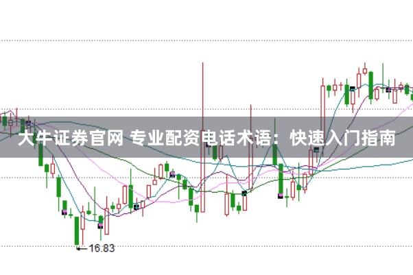 大牛证券官网 专业配资电话术语：快速入门指南