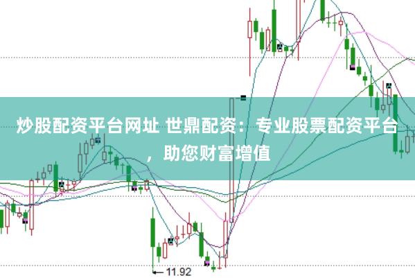 炒股配资平台网址 世鼎配资:专业股票配资平台,助您财富增值