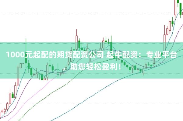 1000元起配的期货配资公司 起牛配资：专业平台，助您轻松盈利！