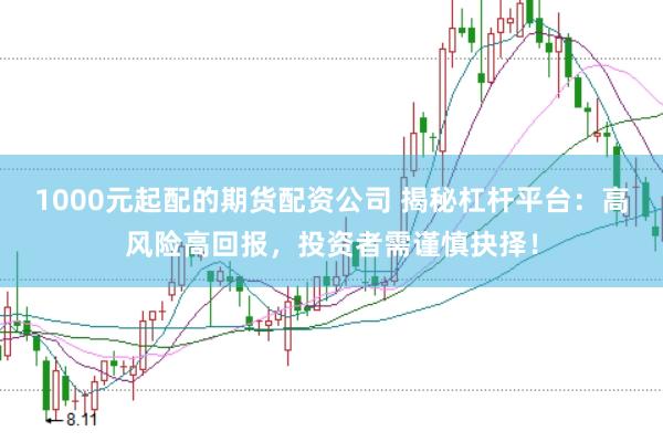 1000元起配的期货配资公司 揭秘杠杆平台:高风险高回报,投资者需谨慎抉择!