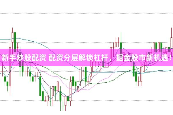 新手炒股配资 配资分层解锁杠杆，掘金股市新机遇！