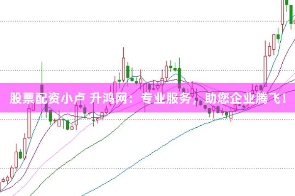 股票配资小卢 升鸿网:专业服务,助您企业腾飞!