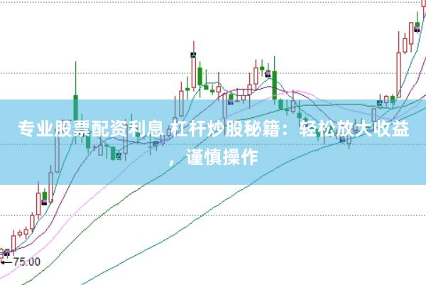 专业股票配资利息 杠杆炒股秘籍：轻松放大收益，谨慎操作