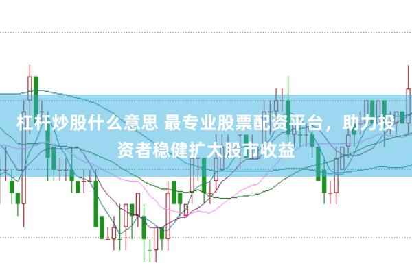 杠杆炒股什么意思 最专业股票配资平台，助力投资者稳健扩大股市收益